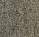 Tessera Basis Pro Phase 