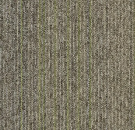 Tessera Basis Pro Phase 