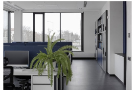 Виниловая плитка FORBO Allura Flex Material