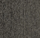 Tessera Basis Pro Phase 