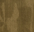 Коллекция Latitude 